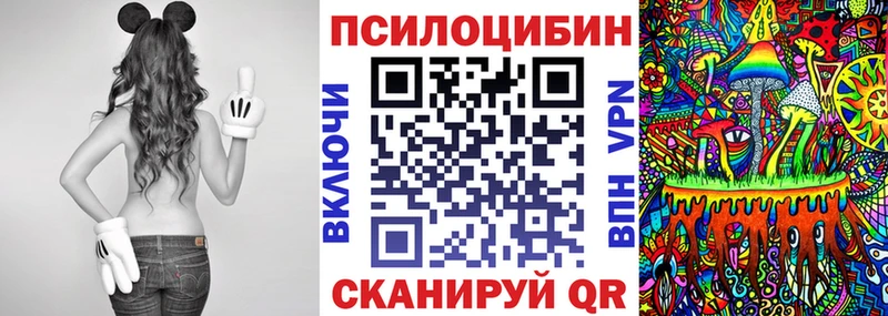 Псилоцибиновые грибы ЛСД  Купить закладки  Елизово 
